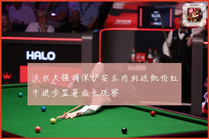 沃尔夫强调保护安东内利迈凯伦红牛进步显著成长观察