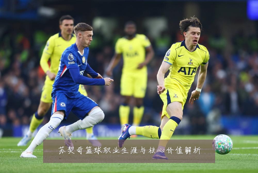苏契奇篮球职业生涯与核心价值解析